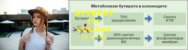 apvp Богданович