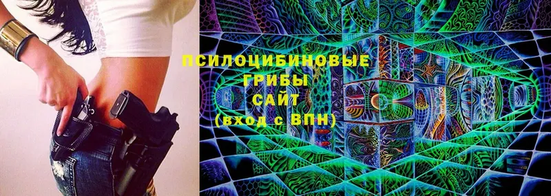 Галлюциногенные грибы Magic Shrooms  где купить наркотик  даркнет клад  Изобильный 